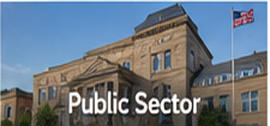 Public Sector